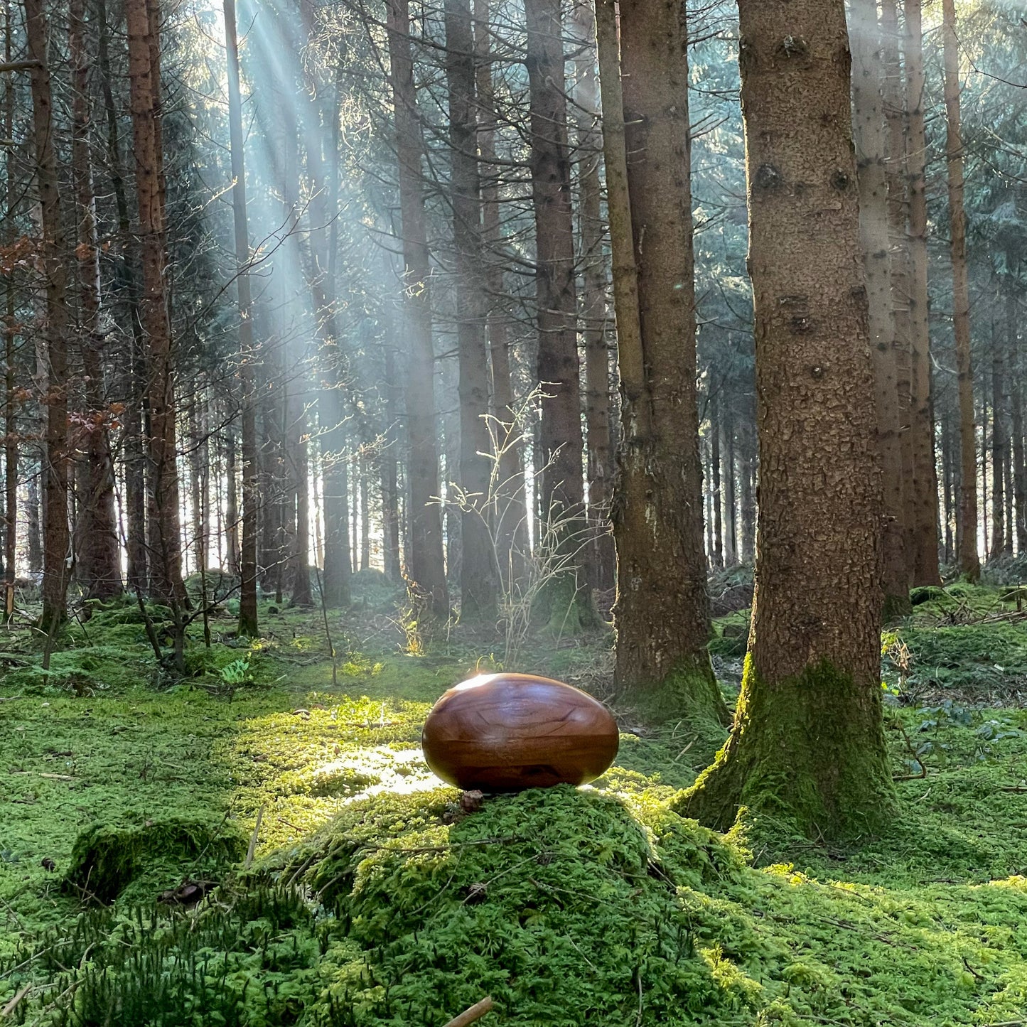 Wooden urn River Stones Crabwood - Large